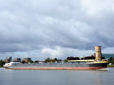 Citrine-1-08-10-2017-Dordrecht (2).JPG