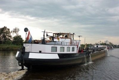 Cormeraan-2  04-10-2010.jpg