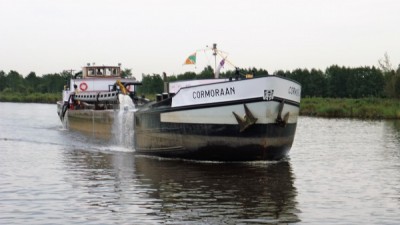 Cormeraan-1  04-10-2010.jpg