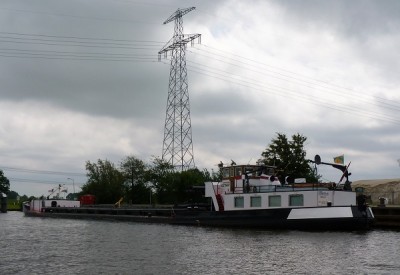 cormoraan-1-13-06-2011 (2).jpg