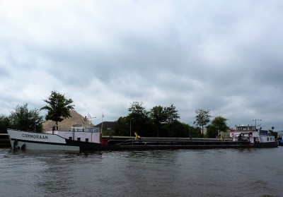 cormoraan-3-13-06-2011 (2).jpg