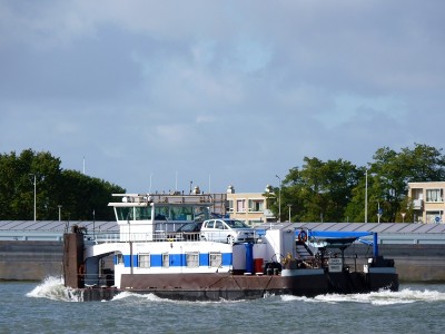 Daisy-Doardo-4-06-10-2017-Dordrecht (2).JPG (175.94 Kio) Vu 2501 fois Daisy-Doardo-4-06-10-2017-Dordrecht (2).JPG