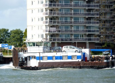 Daisy-Doardo-3-06-10-2017-Dordrecht (2).JPG (247.05 Kio) Vu 2502 fois Daisy-Doardo-3-06-10-2017-Dordrecht (2).JPG