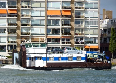 Daisy-Doardo-2-06-10-2017-Dordrecht (2).JPG (265.97 Kio) Vu 2501 fois Daisy-Doardo-2-06-10-2017-Dordrecht (2).JPG