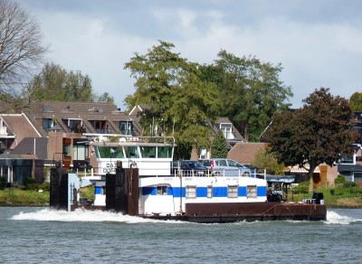 Daisy-Doardo-1-06-10-2017-Dordrecht (2).JPG (260.3 Kio) Vu 2501 fois Daisy-Doardo-1-06-10-2017-Dordrecht (2).JPG