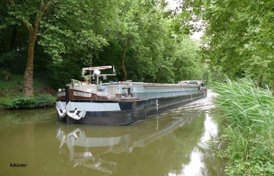 POULBOTE - canal des Vosges - 9 juillet 2017 (1).jpg