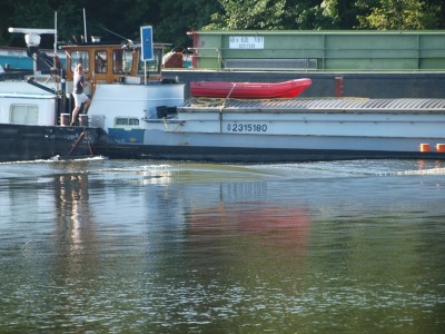 P6175887 (Copier).JPG (714.22 Kio) Vu 7457 fois P6175887 (Copier).JPG