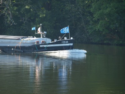 P6175885 (Copier).JPG (615.66 Kio) Vu 7752 fois P6175885 (Copier).JPG