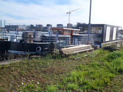 SAM_4870 (Copier).JPG (207.43 Kio) Vu 2595 fois SAM_4870 (Copier).JPG