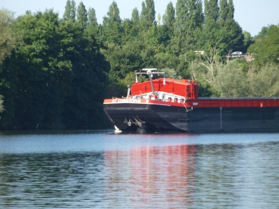 P6175895 (Copier).JPG (677.47 Kio) Vu 1808 fois P6175895 (Copier).JPG