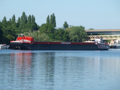 P6175894 (Copier).JPG (659.42 Kio) Vu 1808 fois P6175894 (Copier).JPG