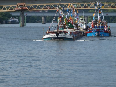 P6175937 (Copier).JPG (691.95 Kio) Vu 3124 fois P6175937 (Copier).JPG