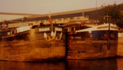 NAIADO et ECUREUIL à Lille en 2003 (dét).jpg (119.69 Kio) Vu 3989 fois NAIADO et ECUREUIL à Lille en 2003 (dét).jpg