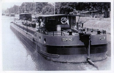 H2861 Domino.jpg