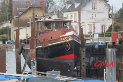 plancton-veneux.JPG (237.15 Kio) Vu 6353 fois plancton-veneux.JPG