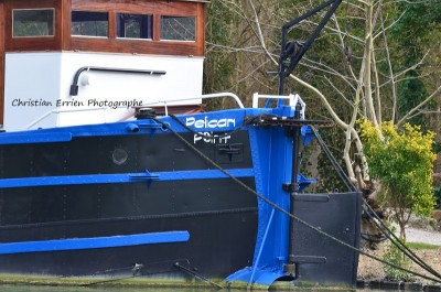 Pélican Point Marolles4 - Copie.JPG