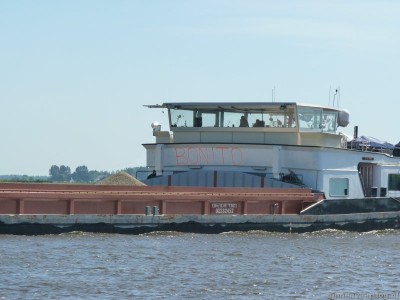 bonito-4-18-08-2012.jpg
