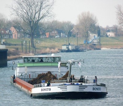 Bonito-3-28-02-2018-sluis-Lith (2).JPG