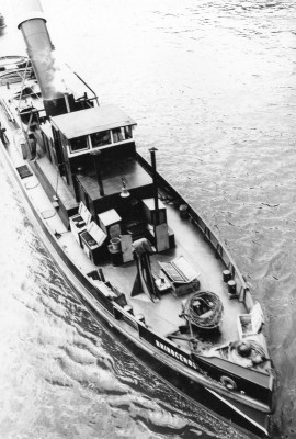 Remorqueur Rhinocéros.jpg (131.42 Kio) Vu 1766 fois Remorqueur Rhinocéros.jpg