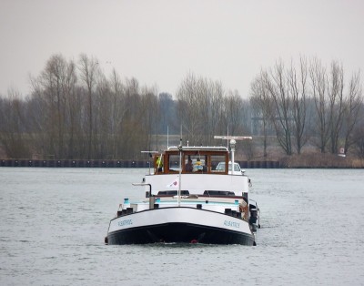 Albatros-2-15-03-2018-sluis-Lith (2).JPG