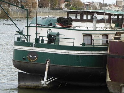 Bergamote Choisy le Roi 2 - Copie.JPG (198.38 Kio) Vu 3558 fois Bergamote Choisy le Roi 2 - Copie.JPG