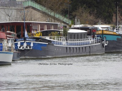 Hirondelle Choisy le Roi - Copie.JPG