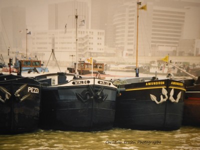 P1020605.JPG (142.47 Kio) Vu 2731 fois P1020605.JPG