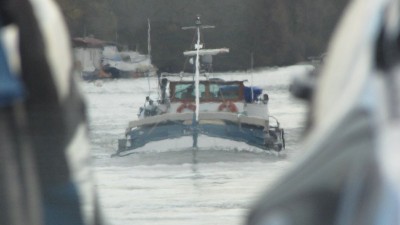 OLSE 001 [800x600].jpg