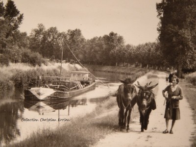 P1030266.JPG (170.81 Kio) Vu 1648 fois P1030266.JPG